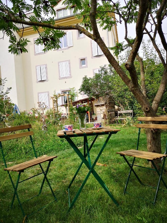 Ferienwohnung Combles & Vous Colmar Exterior foto